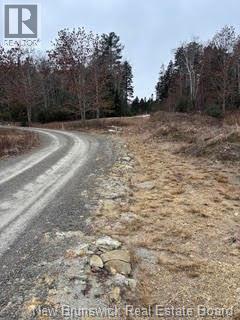 Lot 86-1 Route 114, Stoney Creek, New Brunswick  E1J 1N1 - Photo 10 - NB144737