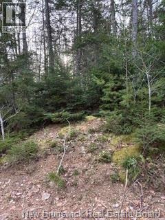Lot 86-1 Route 114, Stoney Creek, New Brunswick  E1J 1N1 - Photo 8 - NB144737