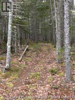 Lot 86-1 Route 114, Stoney Creek, New Brunswick  E1J 1N1 - Photo 9 - NB144737
