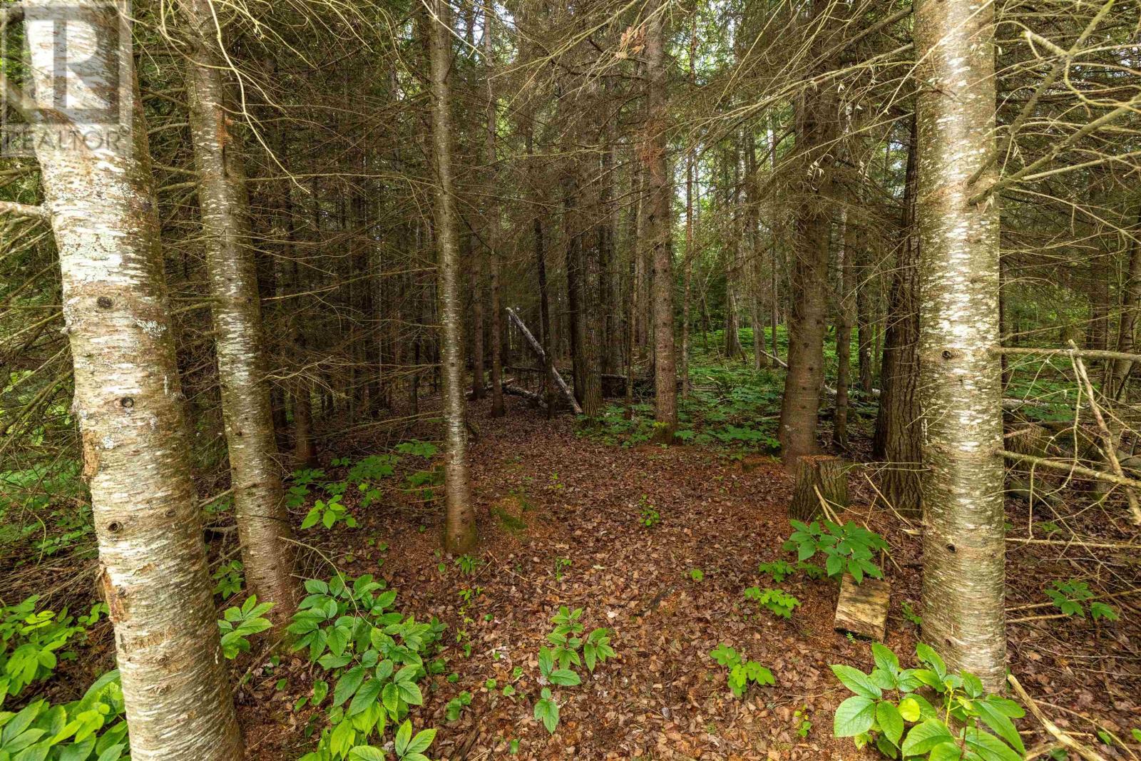200 Captain Rd, Hurkett, Ontario  P0T 1K0 - Photo 49 - TB2602241