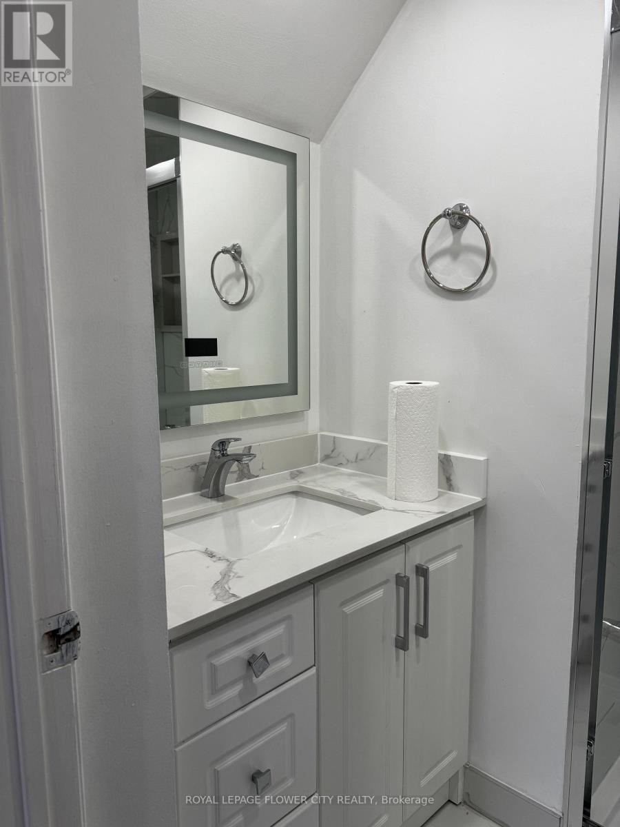 Ground Floor - 5309 Ferret Court, Mississauga, Ontario  L4Z 3M4 - Photo 29 - W13639068