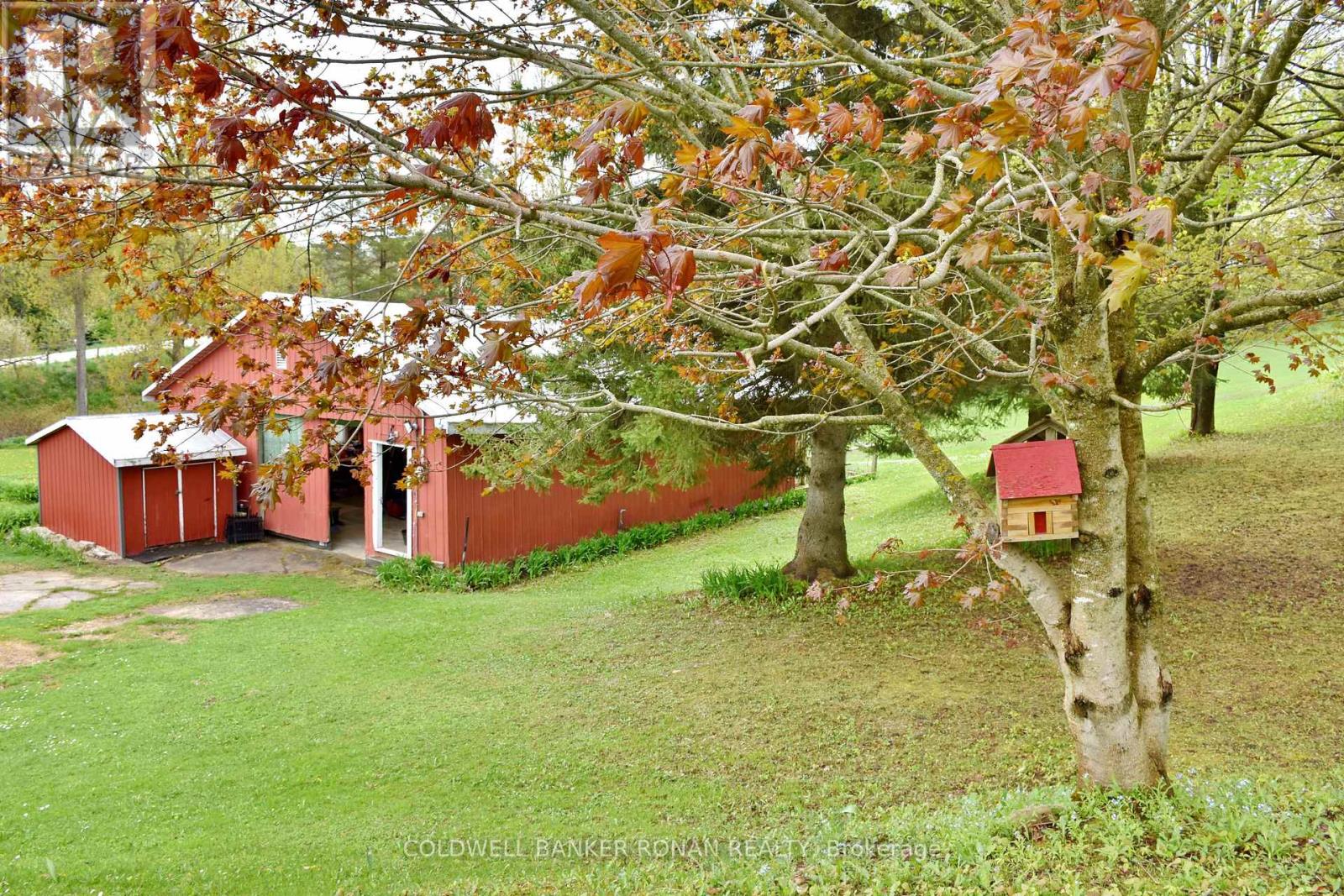 110 Old Highway 4, Grey Highlands, Ontario  N0C 1E0 - Photo 45 - X13638970