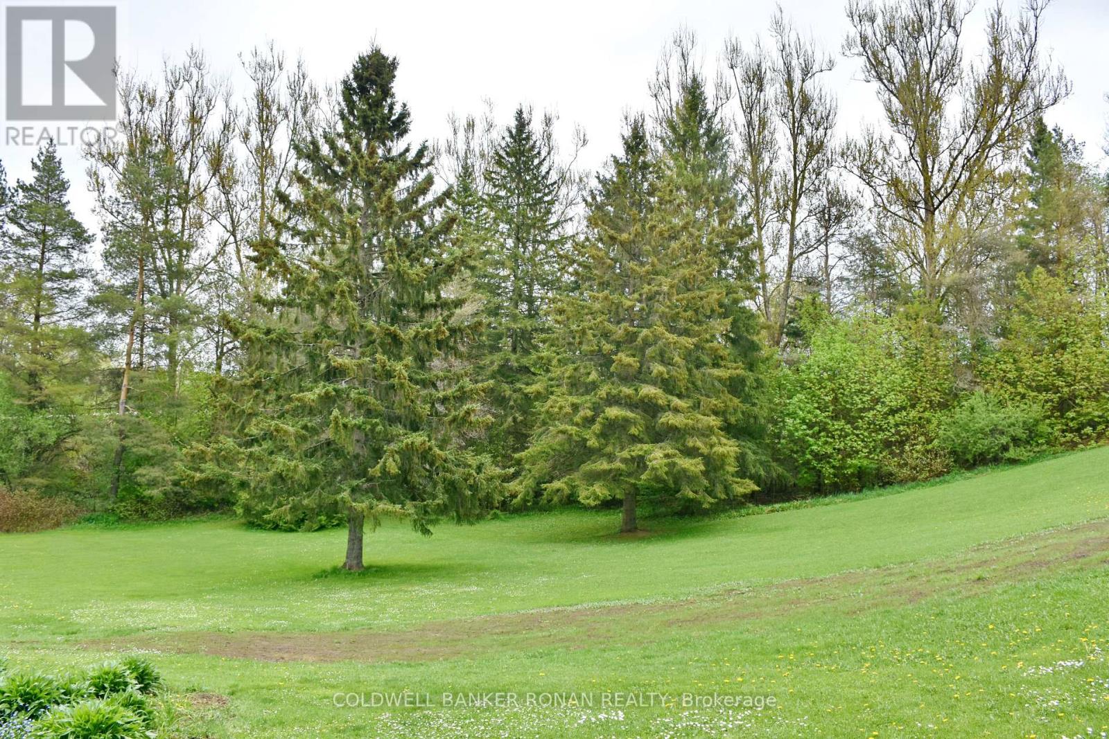 110 Old Highway 4, Grey Highlands, Ontario  N0C 1E0 - Photo 46 - X13638970