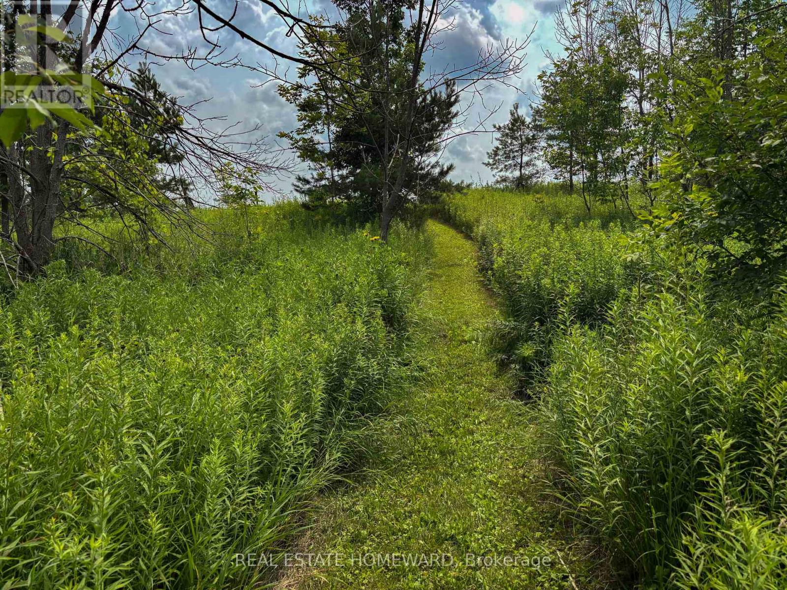 937082 Airport Road W, Mulmur, Ontario L9V 0L6 - Photo 15 - X13607006