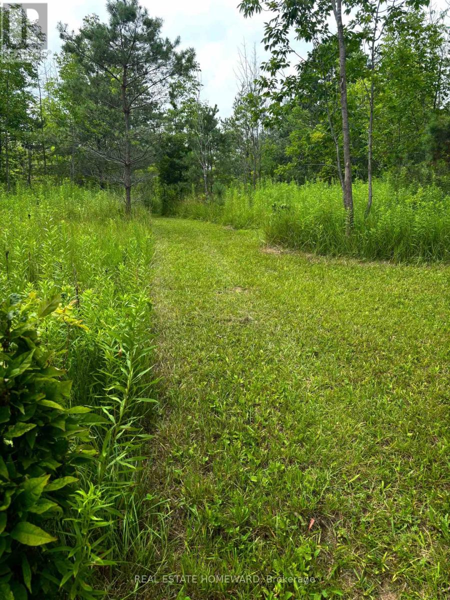 937082 Airport Road W, Mulmur, Ontario L9V 0L6 - Photo 38 - X13607006