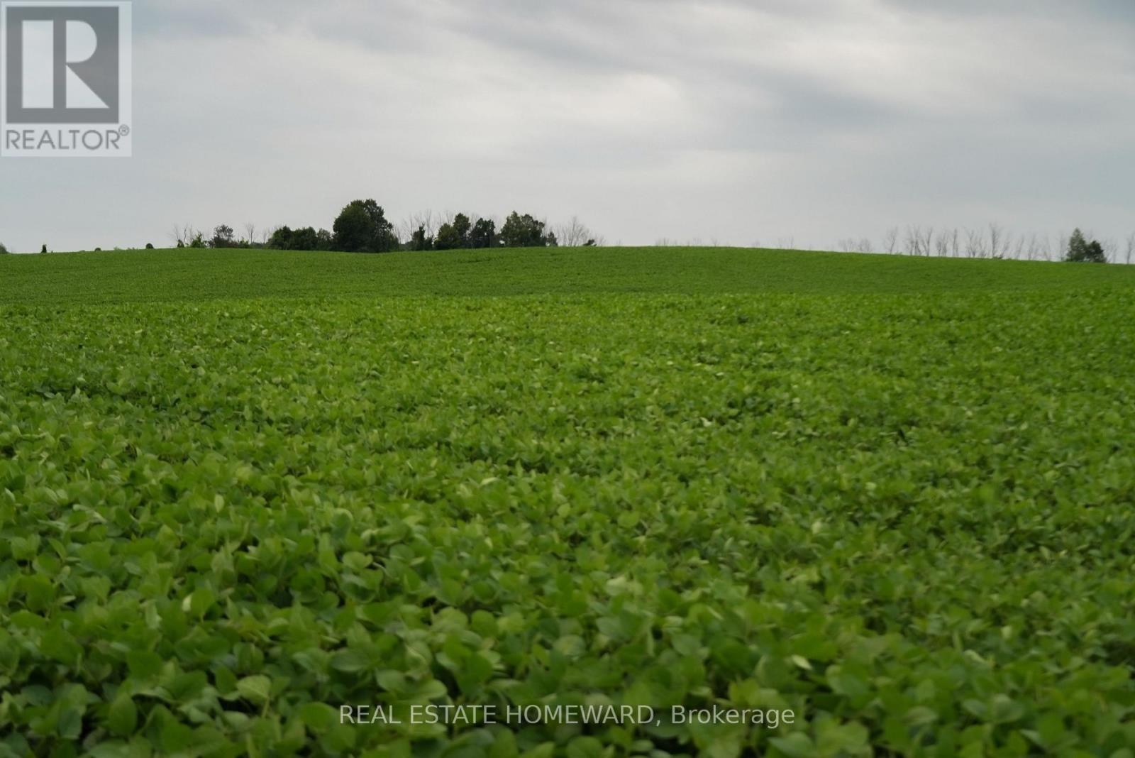 937082 Airport Road W, Mulmur, Ontario L9V 0L6 - Photo 11 - X13607006