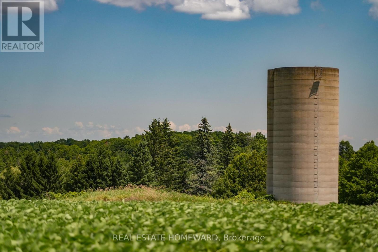 937082 Airport Road W, Mulmur, Ontario L9V 0L6 - Photo 14 - X13607006