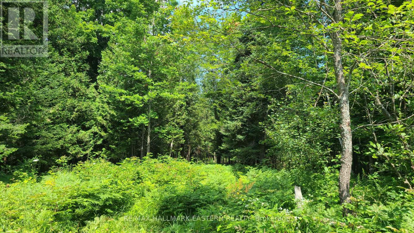 N/a Keating Road N, Havelock-Belmont-Methuen, Ontario  K0L 1Z0 - Photo 11 - X13639358