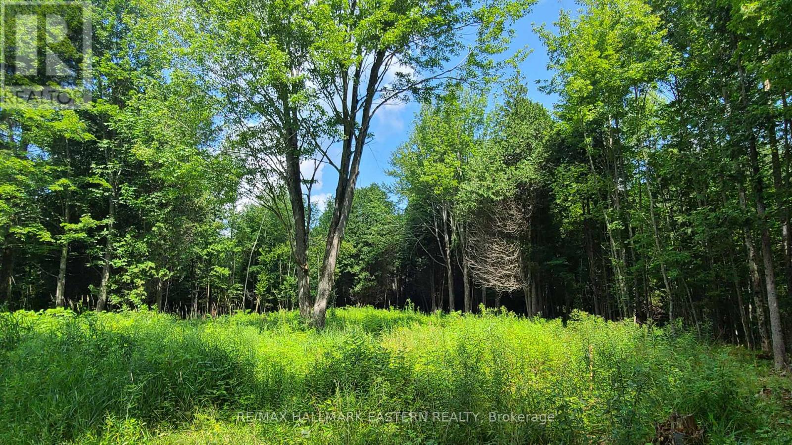 N/a Keating Road N, Havelock-Belmont-Methuen, Ontario  K0L 1Z0 - Photo 13 - X13639358