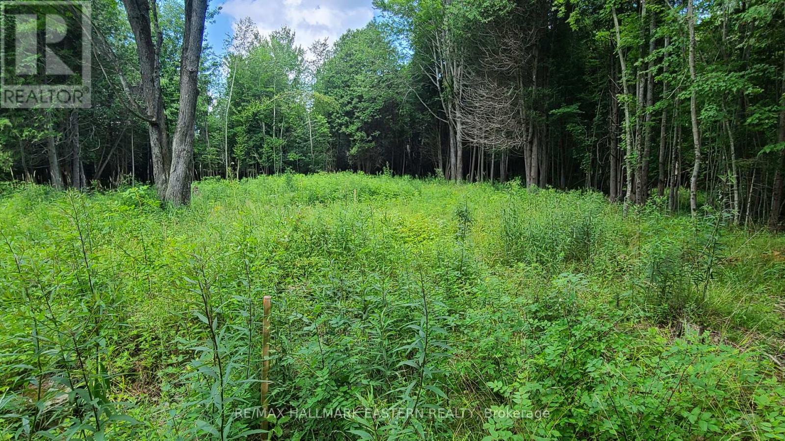 N/a Keating Road N, Havelock-Belmont-Methuen, Ontario  K0L 1Z0 - Photo 14 - X13639358