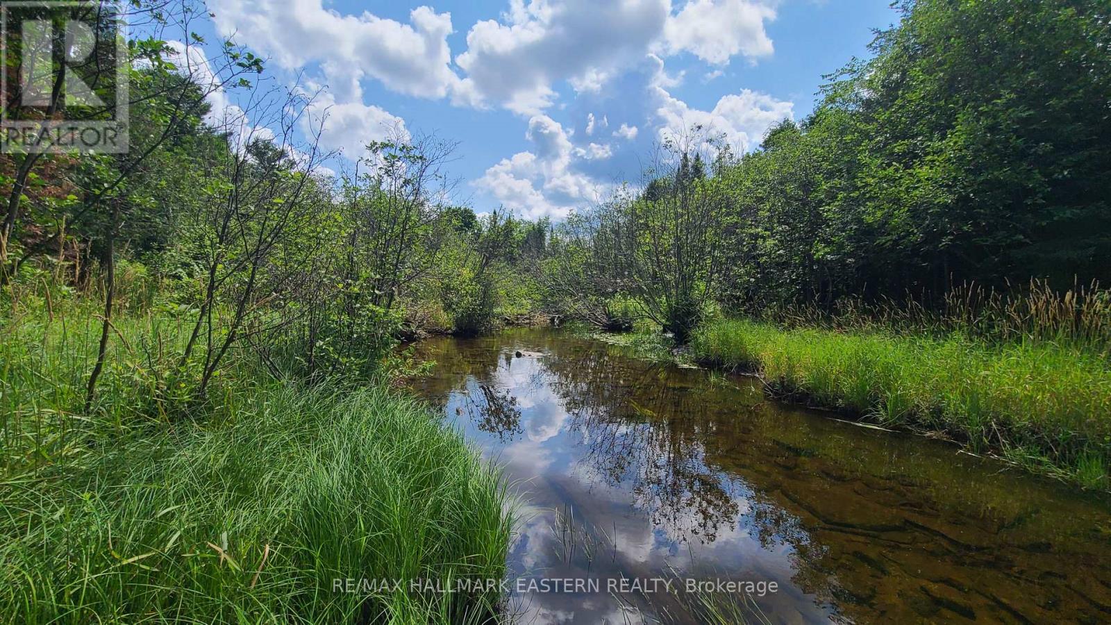 N/a Keating Road N, Havelock-Belmont-Methuen, Ontario  K0L 1Z0 - Photo 15 - X13639358