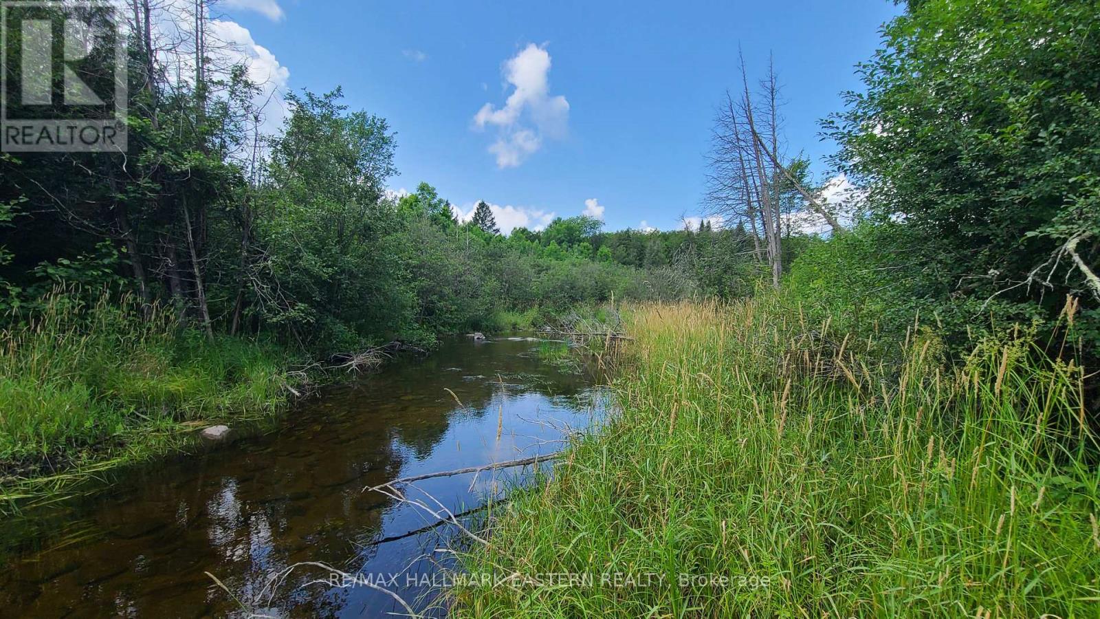 N/a Keating Road N, Havelock-Belmont-Methuen, Ontario  K0L 1Z0 - Photo 16 - X13639358