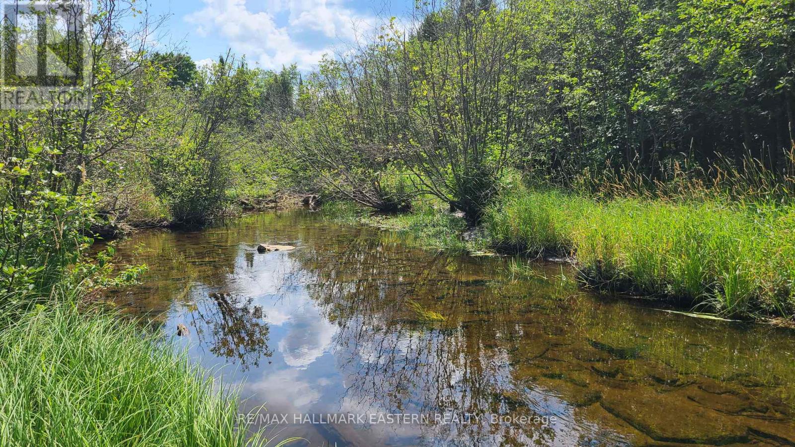 N/a Keating Road N, Havelock-Belmont-Methuen, Ontario  K0L 1Z0 - Photo 17 - X13639358