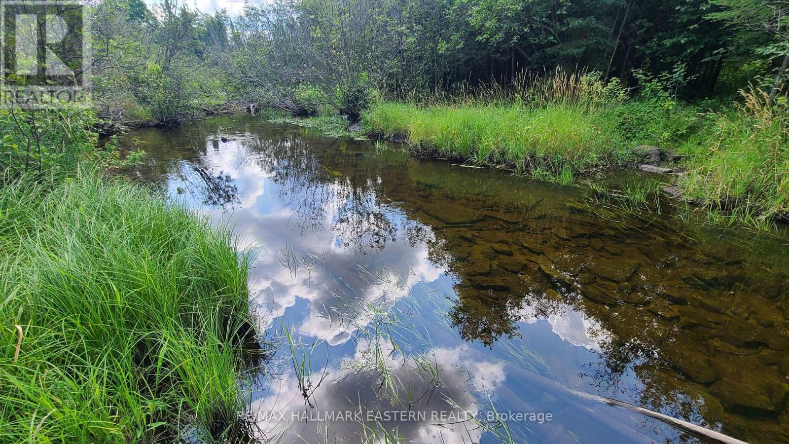 N/a Keating Road N, Havelock-Belmont-Methuen, Ontario  K0L 1Z0 - Photo 19 - X13639358