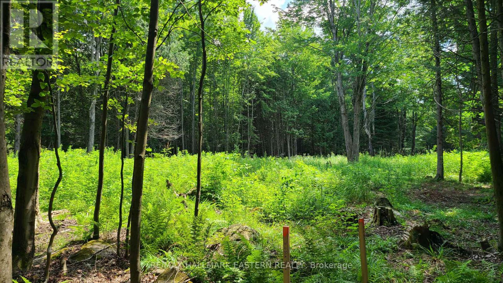 N/a Keating Road N, Havelock-Belmont-Methuen, Ontario  K0L 1Z0 - Photo 20 - X13639358