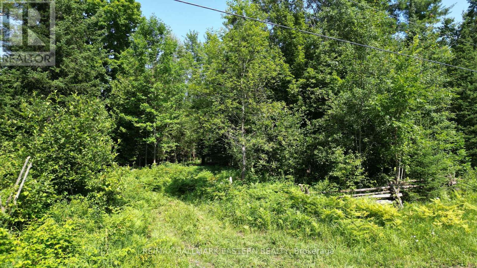 N/a Keating Road N, Havelock-Belmont-Methuen, Ontario  K0L 1Z0 - Photo 23 - X13639358