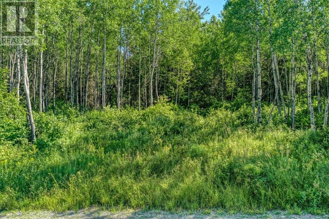 0 Husky Trail Road, Markstay-Warren, Ontario  P0M 2G0 - Photo 3 - 2129517