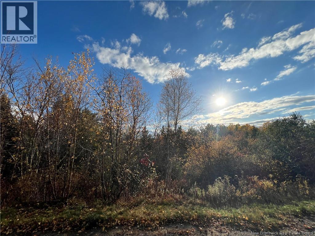 73 Tavener Terrace, Picadilly, New Brunswick  E4E 3X2 - Photo 6 - NB145302