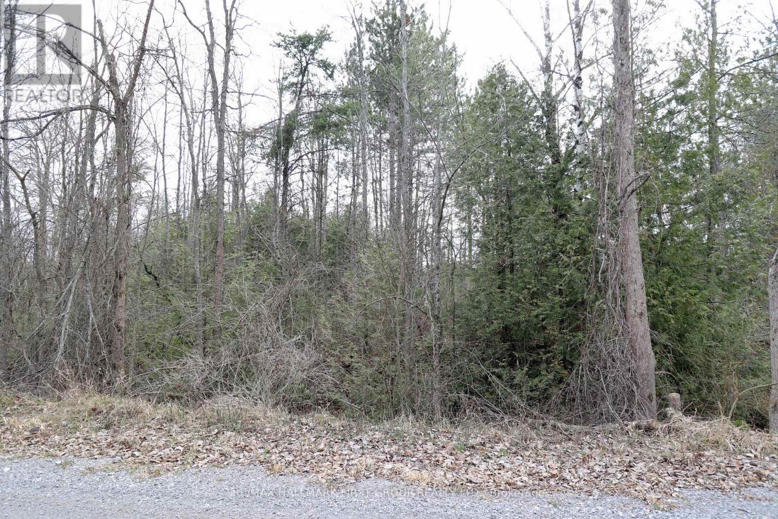 8 St. Marks Road, Stirling-Rawdon, Ontario  K0K 2M0 - Photo 18 - X13639780