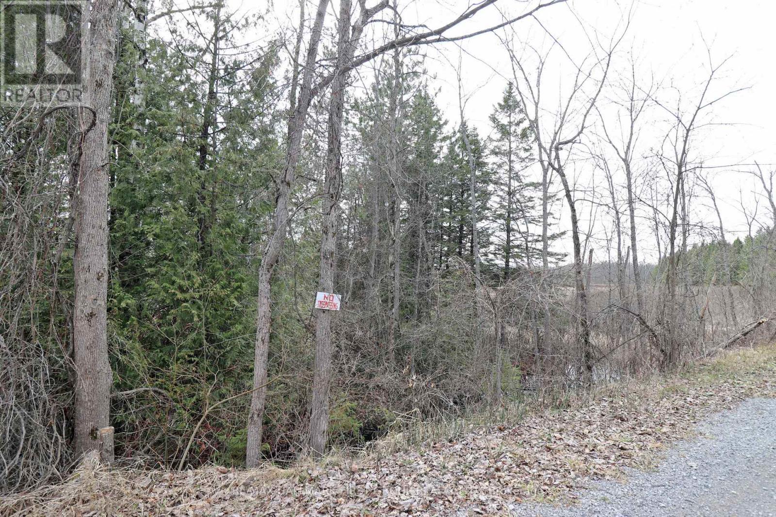 8 St. Marks Road, Stirling-Rawdon, Ontario  K0K 2M0 - Photo 19 - X13639780