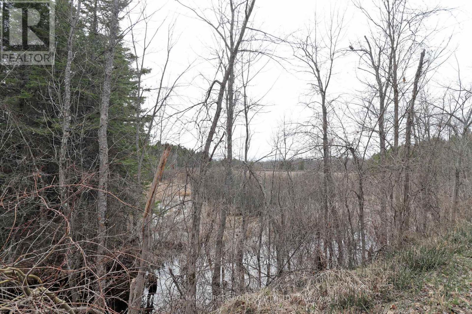 8 St. Marks Road, Stirling-Rawdon, Ontario  K0K 2M0 - Photo 20 - X13639780
