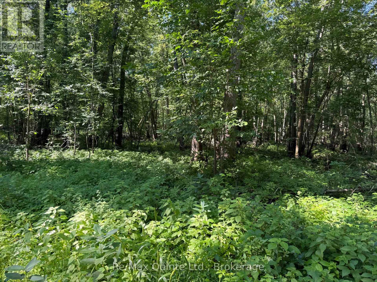 0 TRILLIUM LANE, Tweed, Ontario