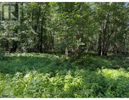 0 TRILLIUM LANE, Tweed, Ontario