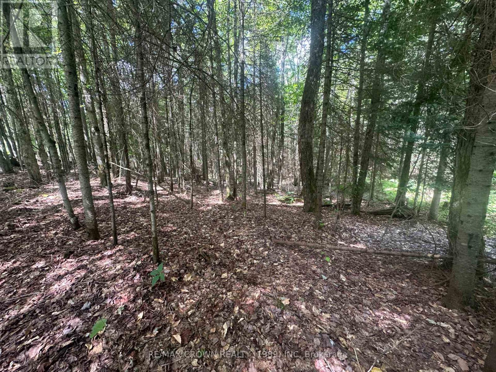 Pcl 25477 Sec Ss Road, Mcmurrich/monteith, Ontario  P0A 1Y0 - Photo 22 - X13639960