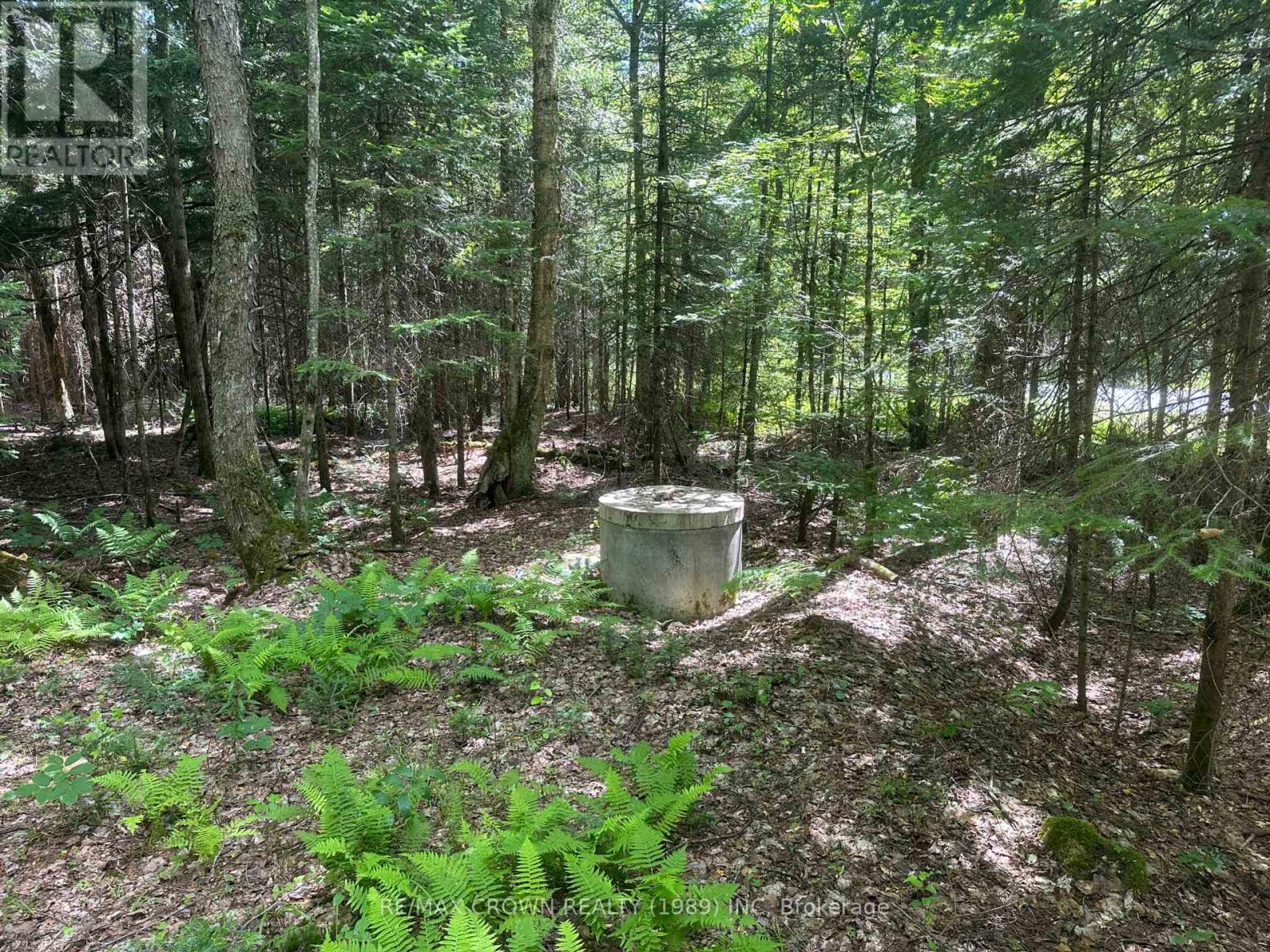 Pcl 25477 Sec Ss Road, Mcmurrich/monteith, Ontario  P0A 1Y0 - Photo 25 - X13639960