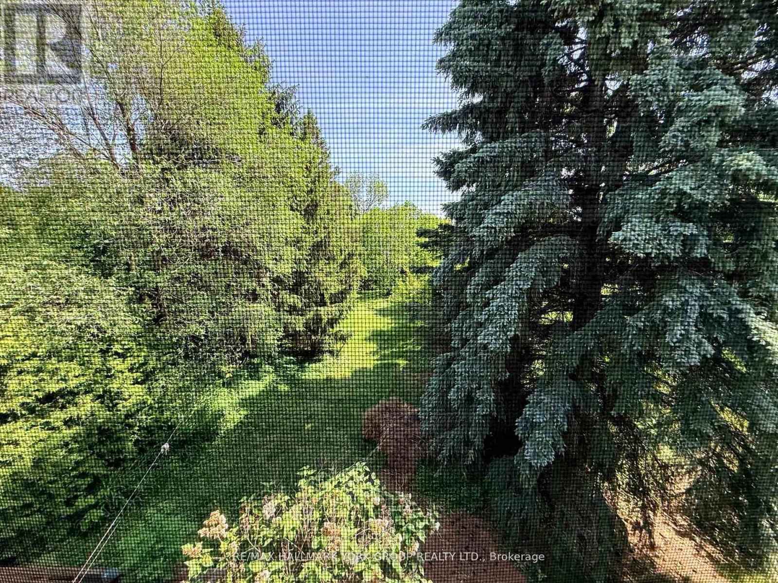 75 Spruce Avenue, Richmond Hill (South Richvale), Ontario  L4C 6V9 - Photo 3 - N13640034