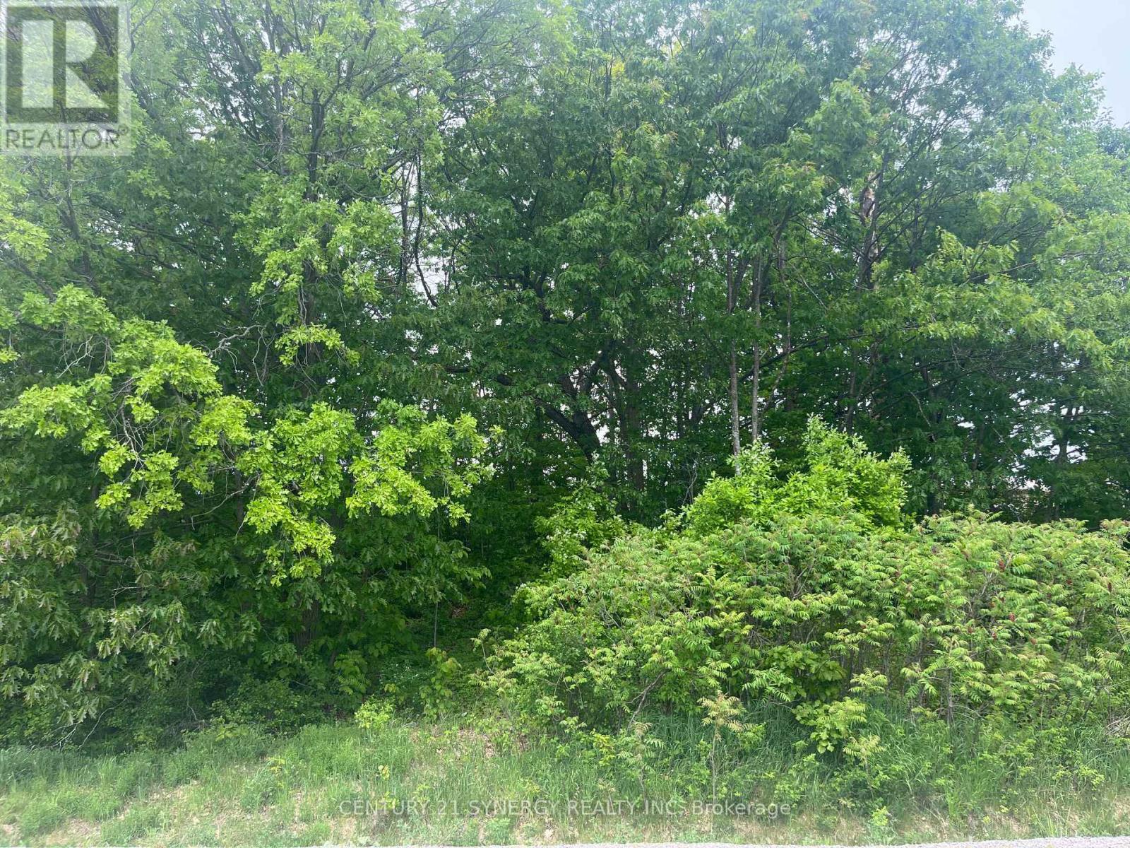 36 Paul A Bertrand Drive, Mcnab/braeside, Ontario  K7S 3G8 - Photo 18 - X12764896