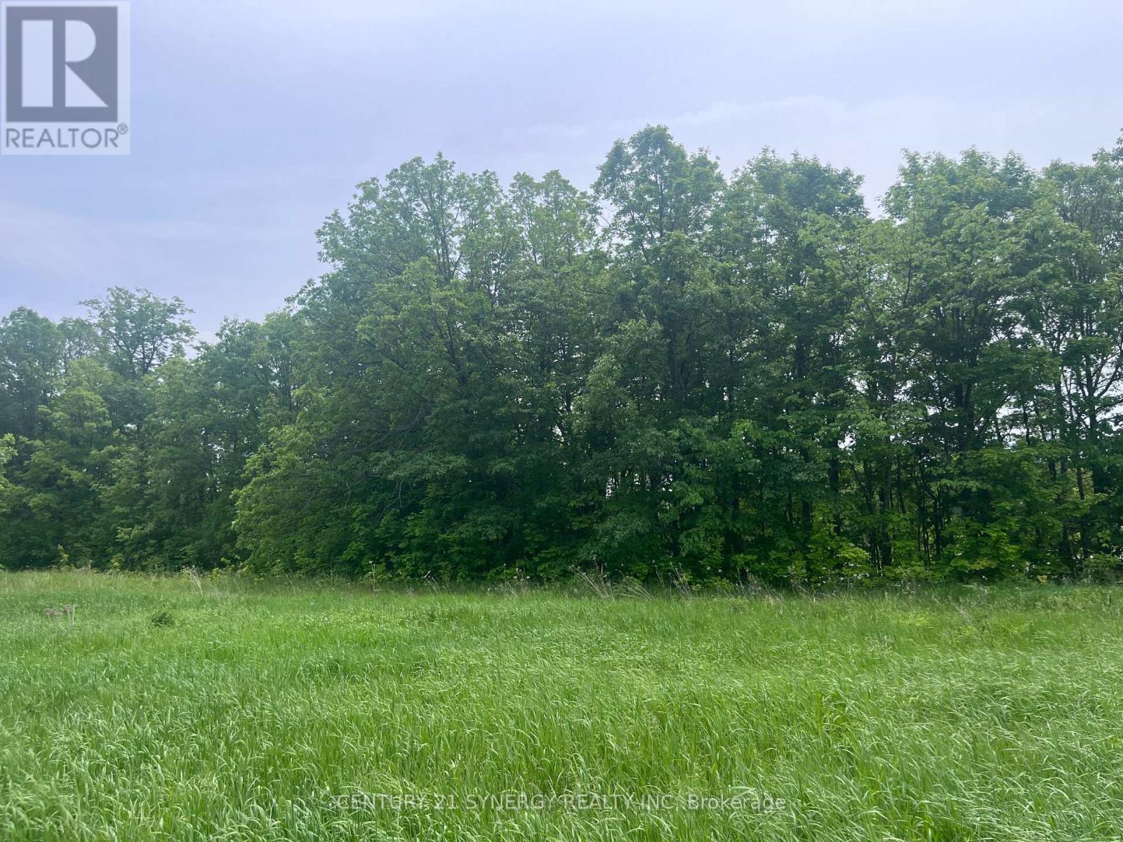 36 Paul A Bertrand Drive, Mcnab/braeside, Ontario  K7S 3G8 - Photo 11 - X12764896