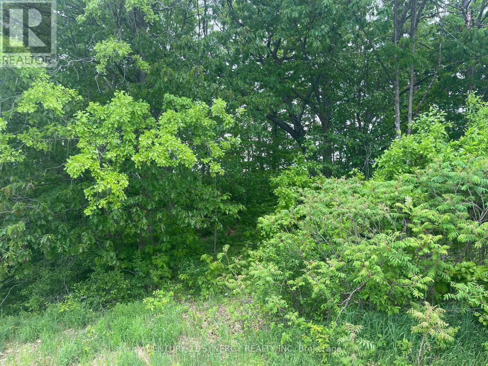 36 Paul A Bertrand Drive, Mcnab/braeside, Ontario  K7S 3G8 - Photo 17 - X12764896