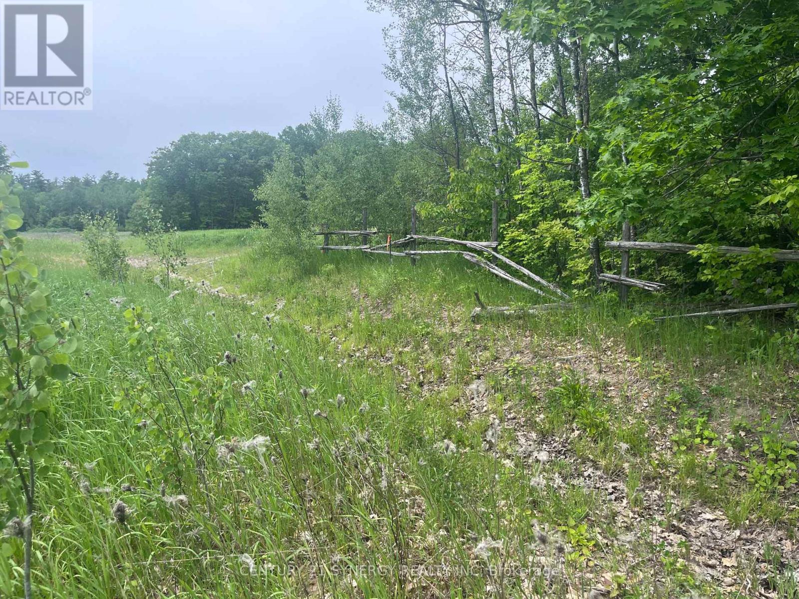 36 Paul A Bertrand Drive, Mcnab/braeside, Ontario  K7S 3G8 - Photo 13 - X12764896