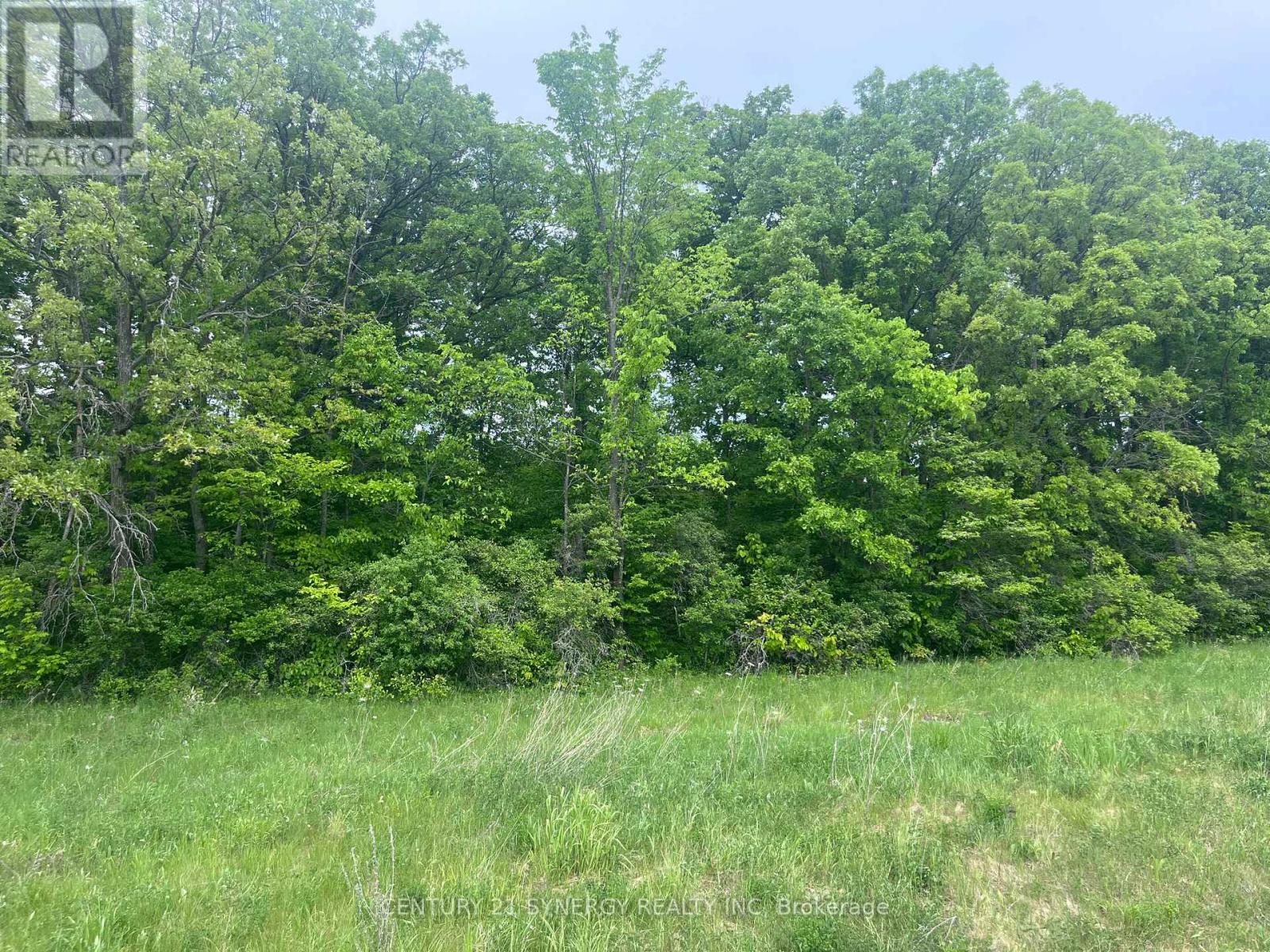 36 Paul A Bertrand Drive, Mcnab/braeside, Ontario  K7S 3G8 - Photo 14 - X12764896
