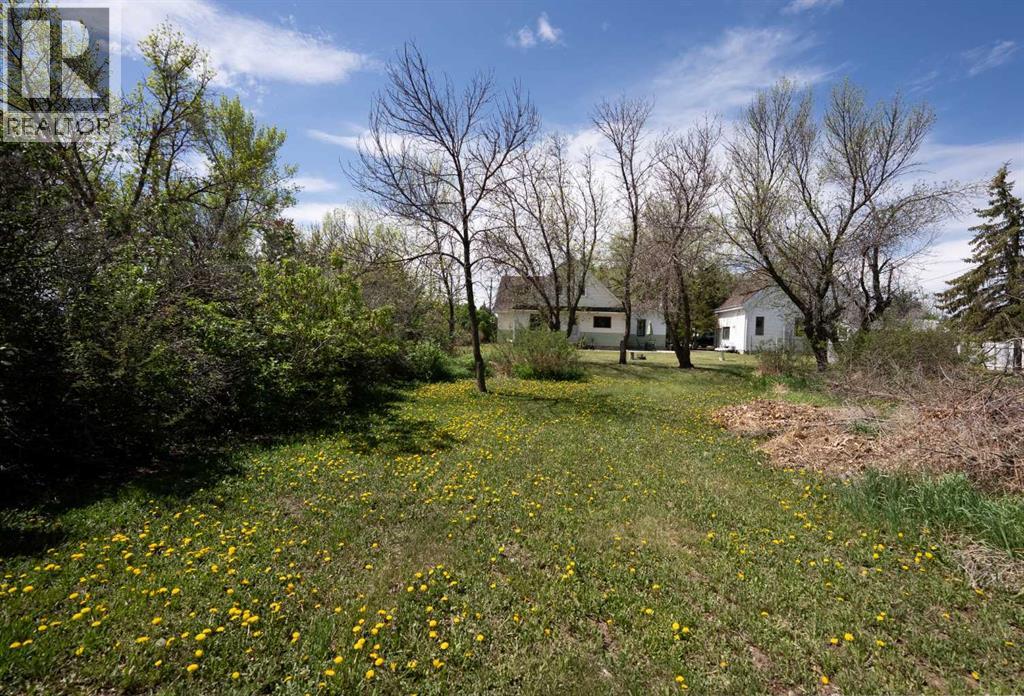 5 4 Street, Champion, Alberta  T0L 0R0 - Photo 34 - A2314573