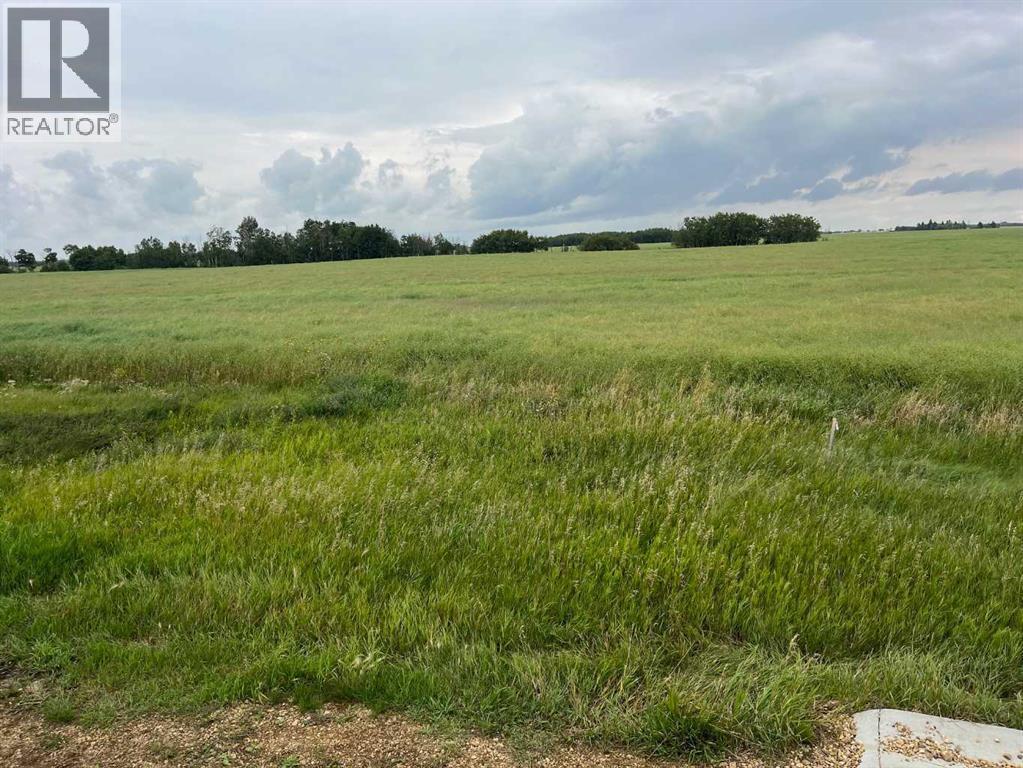 318 Niblock Street, Bawlf, Alberta  T0B 0J0 - Photo 2 - A2334876