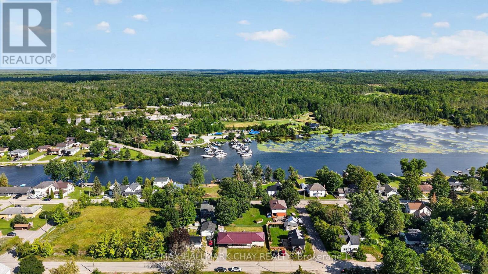 41 Albert Street, Kawartha Lakes, Ontario  K0M 1K0 - Photo 29 - X13640136