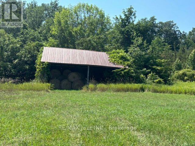 224 Christiani Road, Quinte West, Ontario  K0K 1H0 - Photo 37 - X13466614