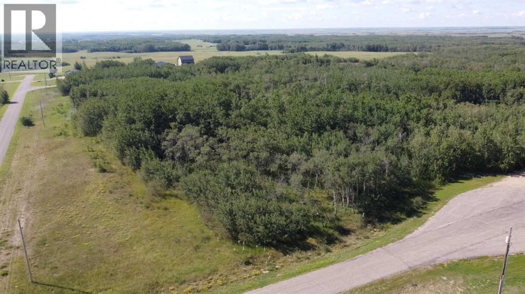 1 - 65017 Twp Rd 442b, Rural Wainwright No. 61, Alberta  T9W 1T4 - Photo 3 - A2247813