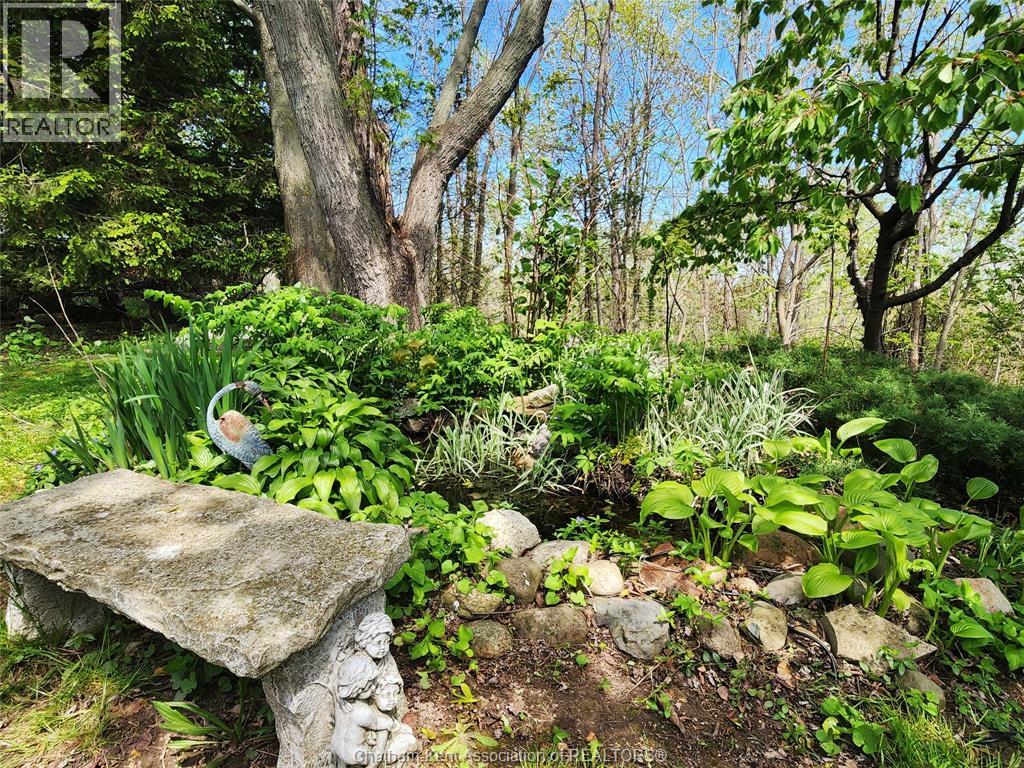 8626 Chester Street, Cedar Springs, Ontario  N0P 1E0 - Photo 16 - 26011345