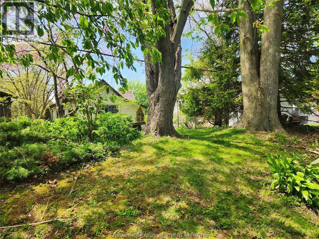 8626 Chester Street, Cedar Springs, Ontario  N0P 1E0 - Photo 21 - 26011345
