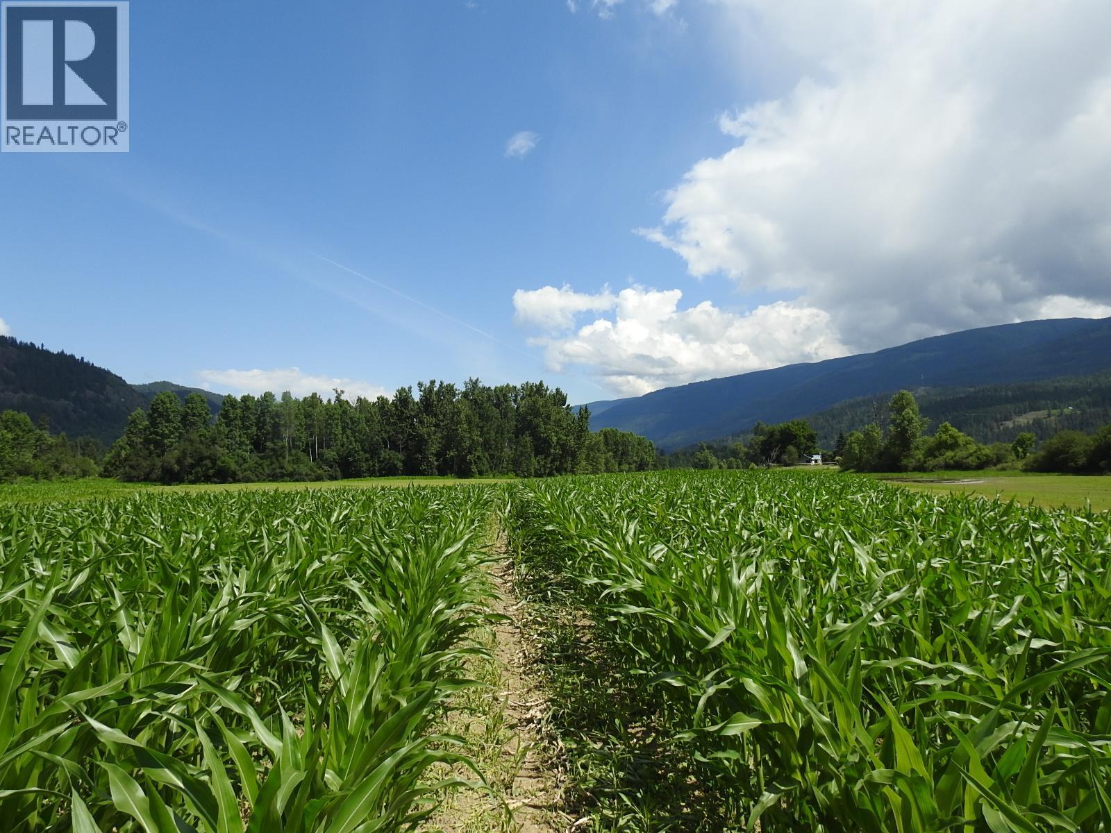 7160 97-A Highway, Grindrod, British Columbia