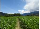 7160 97-A Highway, Grindrod, BC V0E 2K0