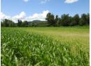 7160 97-A Highway, Grindrod, BC V0E 2K0