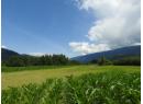 7160 97-A Highway, Grindrod, BC V0E 2K0