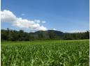 7160 97-A Highway, Grindrod, BC V0E 2K0