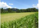 7160 97-A Highway, Grindrod, BC V0E 2K0