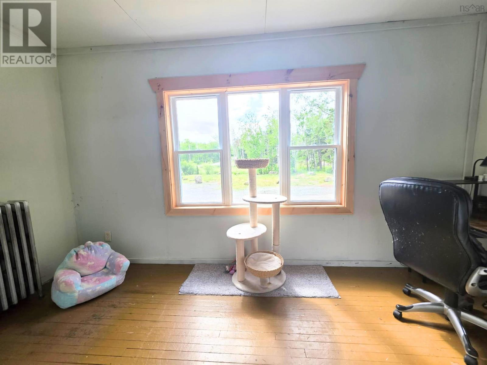 picture 23