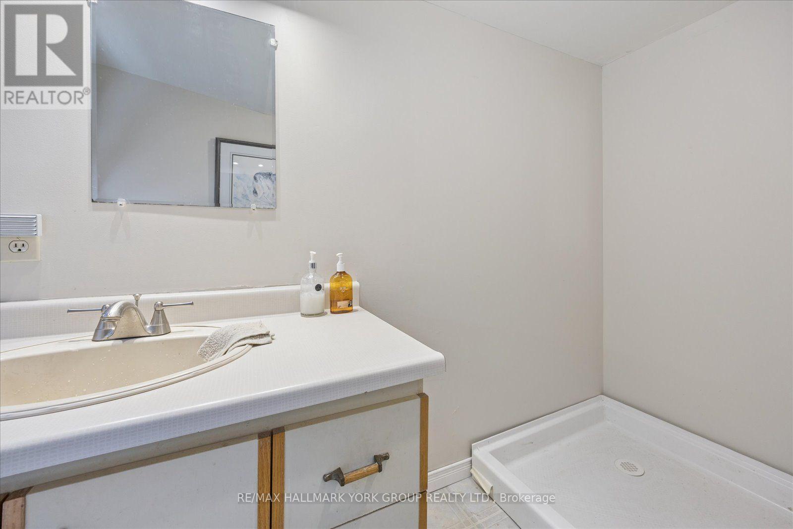 458 Chester Avenue, Newmarket, Ontario  L3Y 6R7 - Photo 39 - N13640434